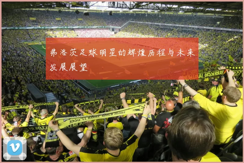 弗洛茨足球明星的辉煌历程与未来发展展望