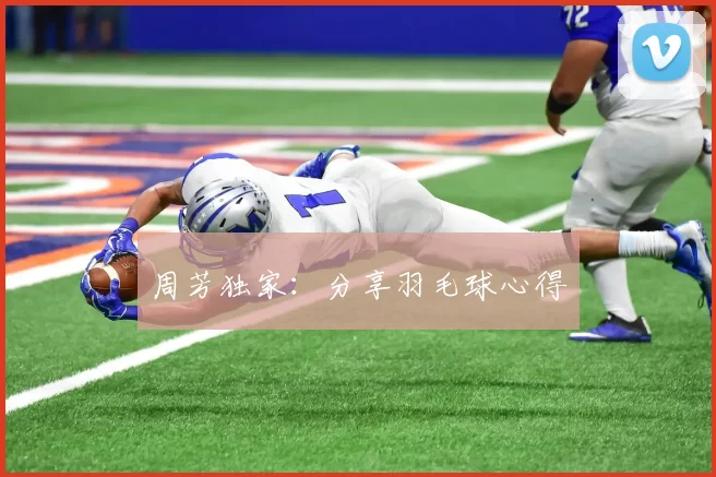 周芳独家：分享羽毛球心得