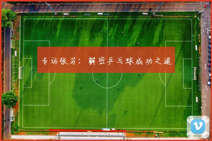 专访张芳：解密乒乓球成功之道