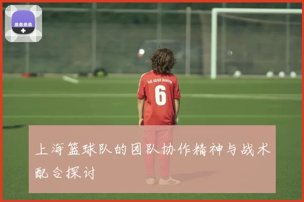 上海篮球队的团队协作精神与战术配合探讨