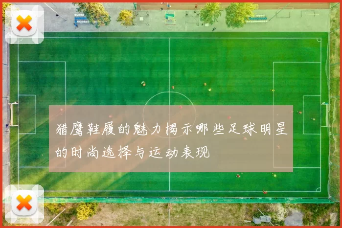 猎鹰鞋履的魅力揭示哪些足球明星的时尚选择与运动表现