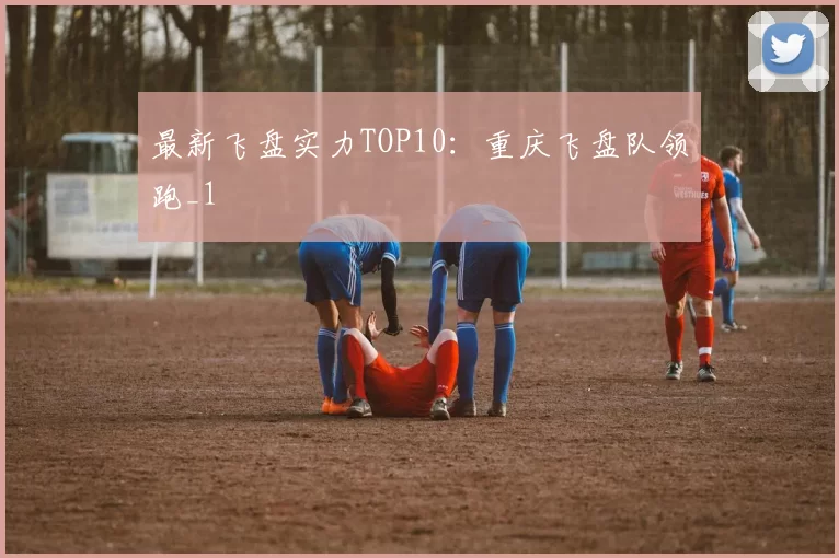 最新飞盘实力TOP10：重庆飞盘队领跑_1