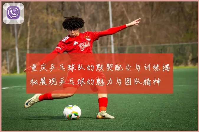 重庆乒乓球队的默契配合与训练揭秘展现乒乓球的魅力与团队精神