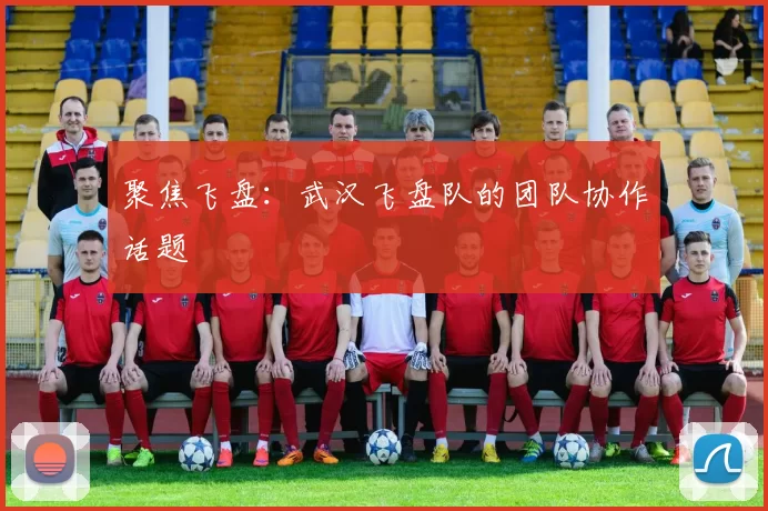 聚焦飞盘：武汉飞盘队的团队协作话题